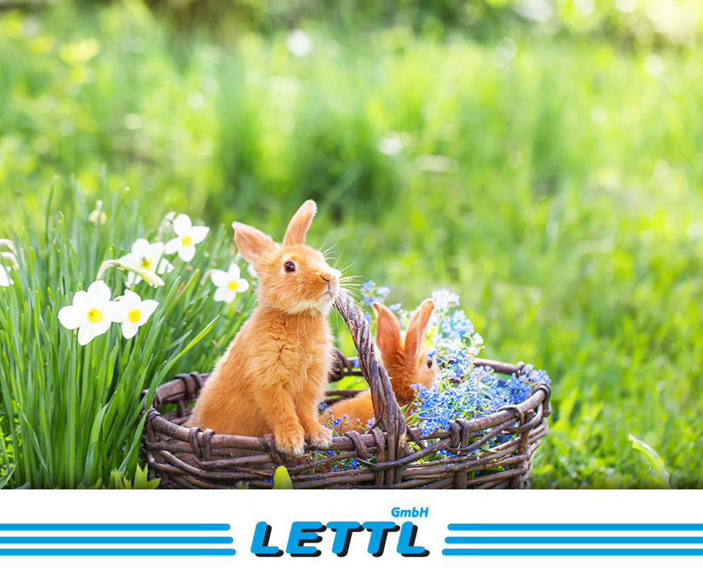 Wir wünschen euch frohe Ostern und viel Spaß beim Nestersuchen